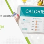 TDEE Calculator