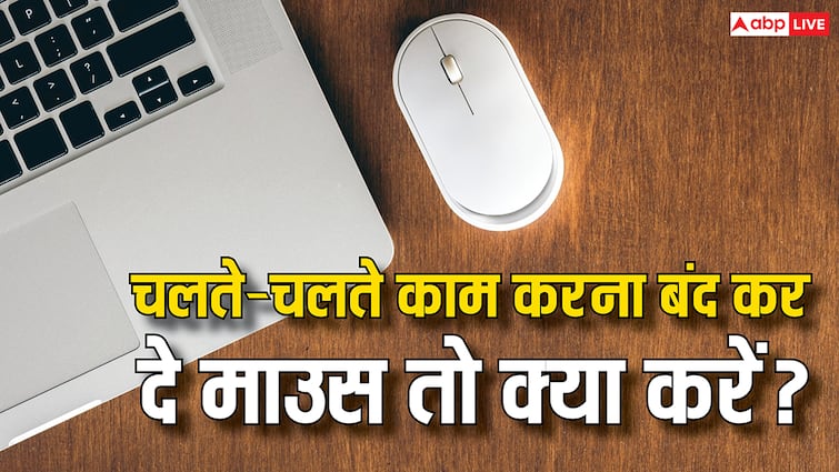 While walking, the mouse stopped working? Do this work instead of getting upset, it will become a matter