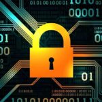 Cyber ​​gang attack on Indian women! This trick of wasting money has come to light for the first time, know how to avoid it